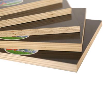 China Modern China Company Export Waterproof Black Film Faced Plywood Shuttering Plywood for sale