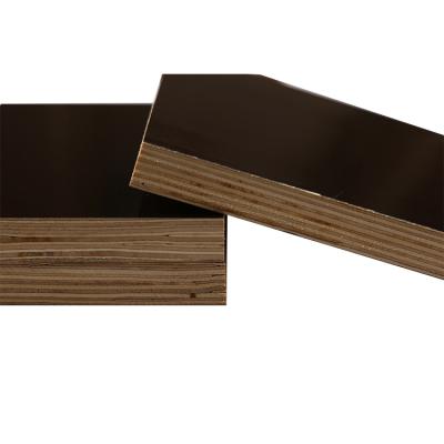 China Large Size Modern Brown Film Faced Plywood For Building Material for sale