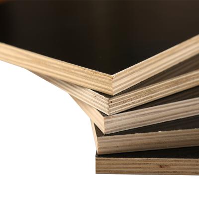 China Free Sample Modern Brown Film Faced Phenolic Plywood 18mm Film Kangaroo Wbp for sale