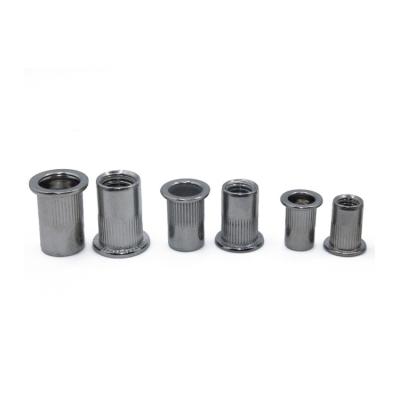 China ISO Standard Galvanized Stainless Steel Blind Rivet Insert Screws with Bright Finish for sale