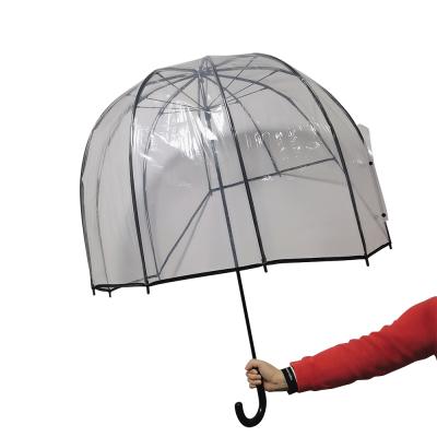 China Ovida Traditional Customized Umbrella Dome Shape Plastic Umbrella Clear Transparent PVC Umbrellas for sale