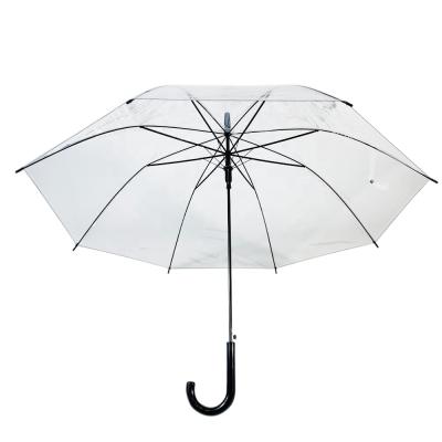 China Minimalist Ovida Umbrella Transparent Regular Basic Logo Prints Promotional Cheap Clear Umbrella for sale