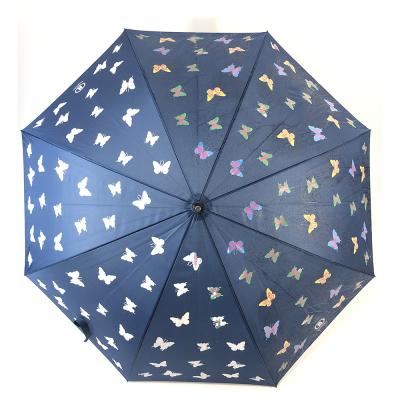 China Art Decor Ovida Magic Color Changing Personal Novelty Umbrella and Personalized Umbrella for sale