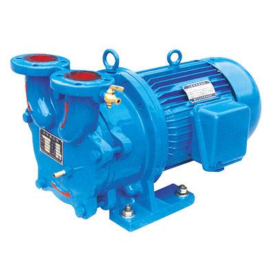 China 2BV2 Water Ring Vacuum Pump/Compressor for sale