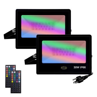 China Amazon Hot Sale 30W RGB Color IP66 Outdoor Landscape Lighting IR Smart Remote Control Flood Light for sale