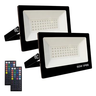 China 60W IR Remote Control Outdoor Garden IP66 Smart LED Decorative Flood Light for sale