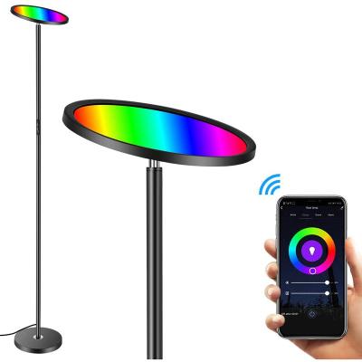 China Modern USB Port Led Floor Lamp Reading Lamp Alexa Echo Google Home Simple Vertical RGB Smart Lighting Floor Lamp for sale