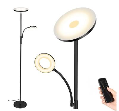 China 2 Arm Arch Tube Floor Position Lamp Lights Indoor Remote Control Modern Decorative Large Led Living Room Floor Lamps for sale