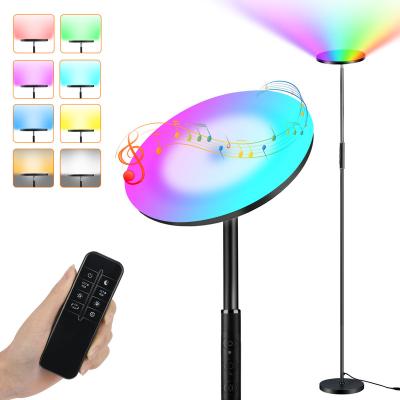 China Modern Remote Color Floor Lamp Reading Bedroom Floor Lamp Room Changing Standing Floor Lamp for sale