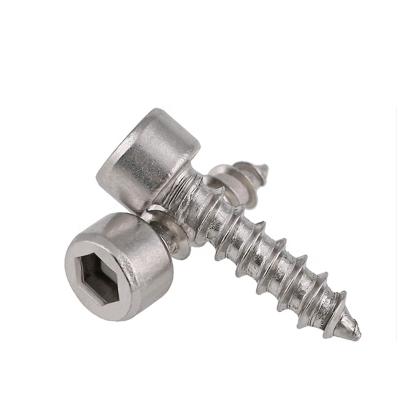 China HEX Hexagon Socket Cap Head Stainless Steel Tapping Screws For OEM Audio Stock Support for sale