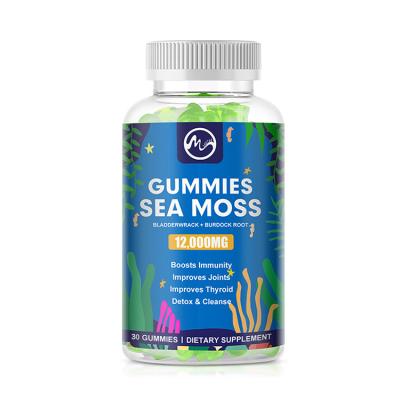 中国 Private Label Vegan Sea Moss Gummies For Immune System 30 Counts Seamoss And Bladderwrack Gummies Gummi Vitamin 販売のため