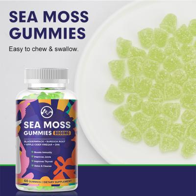 Chine Private Label 60pcs Organic Irish Sea Moss Vegan Gummies Bladderwrack Burdock Root And Natural Fruit Pectin Sea Moss Gummies à vendre