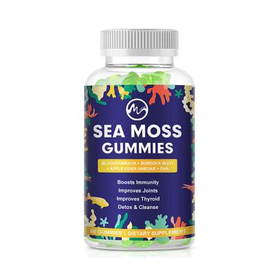 Chine Organic Vegan Superfood Wildcrafted Seamoss Gummy Vitamins for Keto Detox Immune Thyroid Support Sea Moss Gummies à vendre