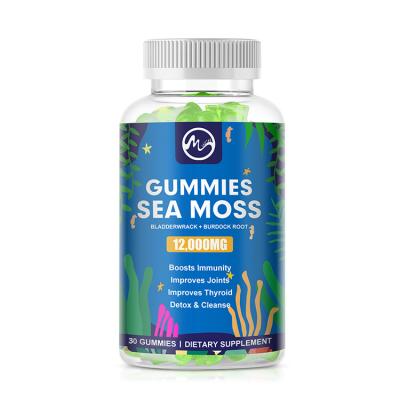 China Drop Shipping 30pcs Organic Sea Moss Gummies /seamoss Gummies Candies Sea Moss Gummies Organic for sale