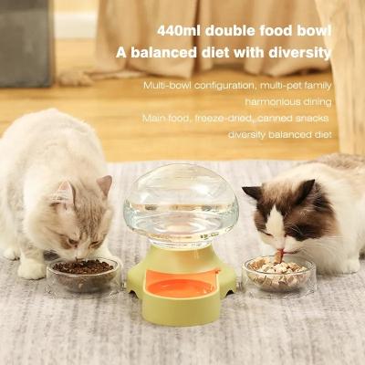 China Automatic Pet Water Fountain With Feeder for sale