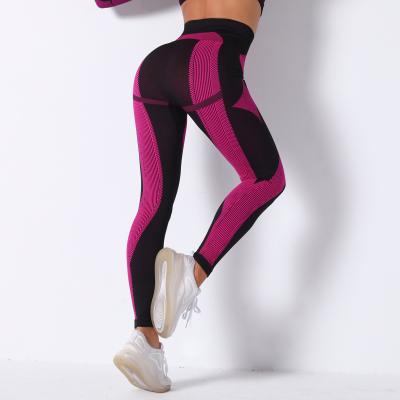 China Logo High Waist Seamless Custom Breathable Yoga Pants Tummy Control Slimming Booty Gaiters Woman Sport Gym Gaiters for sale