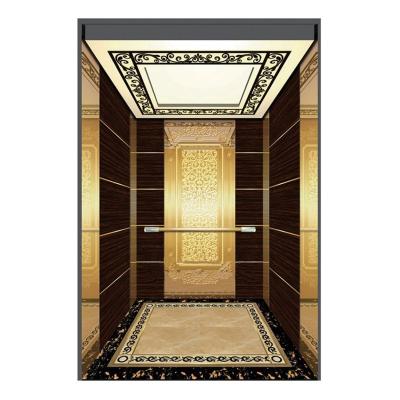 China Modern Home House Elevator Inhome Elavator Lift Small Indoor Lifts for sale