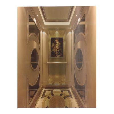 China Safety Fuji Contemporary Elevator Manufacturer Small Residential Building Home Elevator for sale