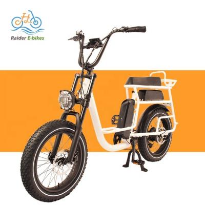 China Cargo Ebike RaiderRover-40F Dual Battery 20inch 750W Mountain E Bicycle Bikes Electric Hybrid Bike Fat Tire Electric Bike For Adult for sale