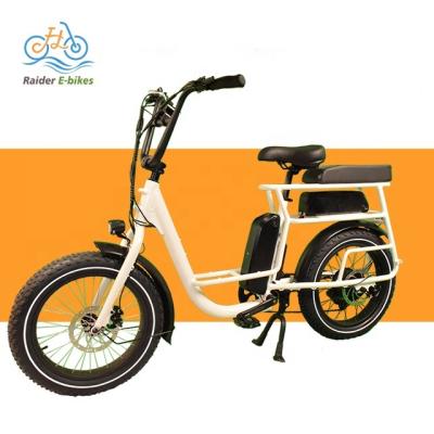 China Cargo Ebike RaiderRover-40F 20