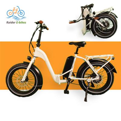 China Fat Tire Aluminum Alloy RaiderExpand-41F 20inch Folding Electric Bikes Powerful Ebike Foldable Electric Bikes Bike for sale