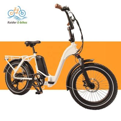 China Hot Selling Aluminum Alloy Fat Tire 20inch Electric Bike Foldable Ebike RaiderExpand-41FS Folding E-Bike Electric Bicycle For Adults for sale