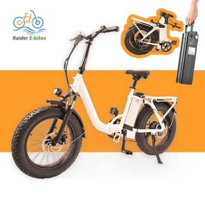 China Electric Folding Bike RaiderExpand-45F Bike Folding Electric Bike Bicycle 20 Inch Fat Tire 750w Ebike 48v Fat Tire Electric Bike for sale