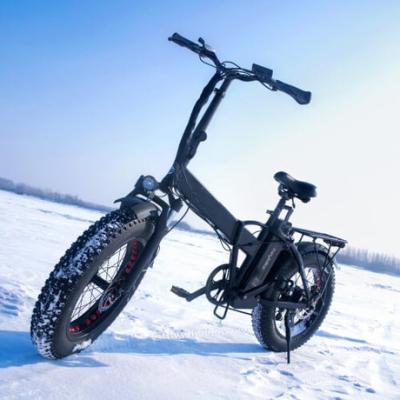 China Hot Beach Snow Fat Seller 20inch 48v500w Aluminum Alloy RaiderExpand-44F Tire Electric Bike Folding Electric Bicycle for sale