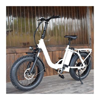 China RaiderExpand-45F Electric Folding Bike Folding Ebike Electric Bicycle 20 Inch Fat Tire 750w Ebike 48v Fat Bike Folding Electric Bike for sale