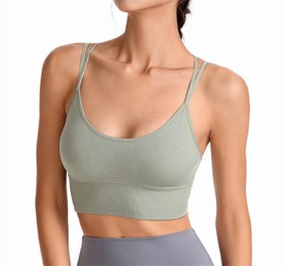 China Newest Low Cut Gym Fashionable Yoga Backless Fitness Seamless Halter Sports Bra For Women Mid Support Wire Free Padded Bra Wholesale for sale