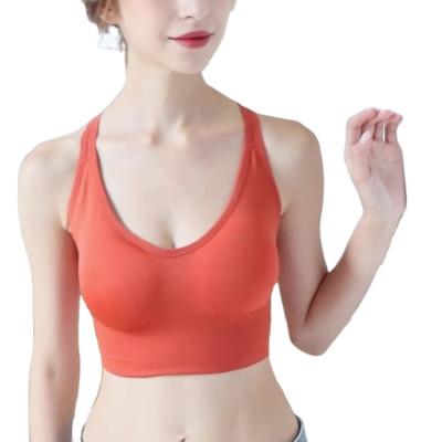 China Newest Sustainable Fashion Customization Women Yoga Wear Spaghetti Strap Padded Sports Bra Sexy Removable Plus Size Gym Women Yoga Bra for sale