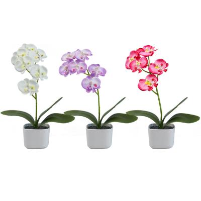 China Mini Potted Artificial Plant 3 Plastic Decorative Orchid Flower Set for sale