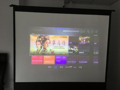 China Senior Conference Large Fast Fold Rear Projection Screen CE ROHS for sale