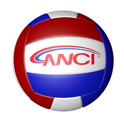 China Hot Selling Training Size 5 TPU Material Soft Touch Customized Logo Volleyball for sale