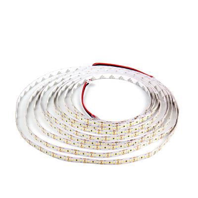 China commercial smd2216 300led 24v 8mm waterproof ip66 24v led strip 300 with led strip light 5 meters for sale