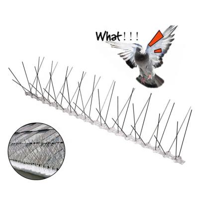 China Fence Mesh Cheap Anti Bird Spike Used On Fences Pigeon Bird Control Spikes For Sale for sale