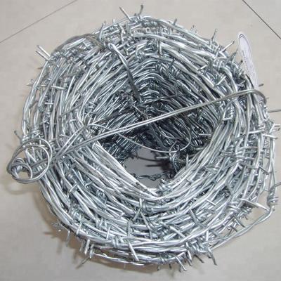 China Making Barbed Wire Galvanized 1.8mm Barbed Wire / Barbed Wire Fence / Barbed Wire Supplier for sale