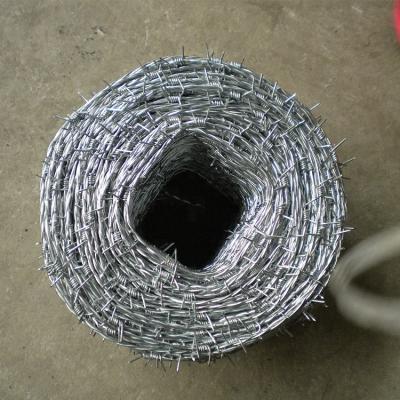 China Making Barbed Wire Galvanized 1.6mm Barbed Wire / Barbed Wire Fence / Barbed Wire Supplier for sale