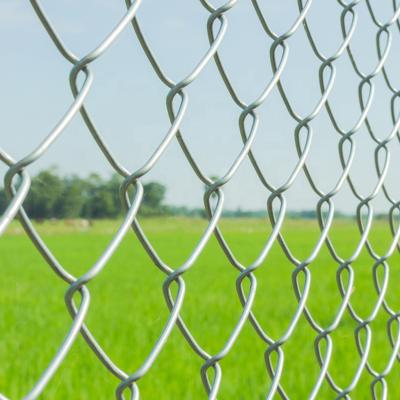 China Twill Weave 50mm Chain Link Fence Square Post Hot Dipped Galvanized Field Wire Mesh for sale