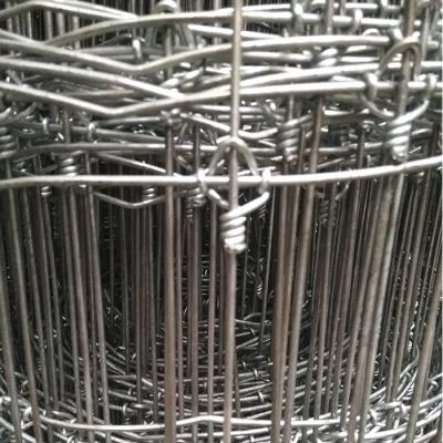 China Easily Assembled 2.5mm Field Fence / Galvanized Goat Fence / 2.0mm Farm Fence Price for sale