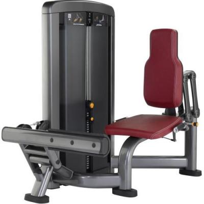 China Exercise Muscle Standing /Seated Calf Machine Gym Body Building Equipment for sale