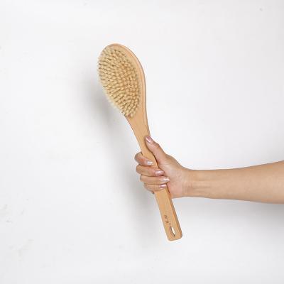 China Long Handle China OEM Long Handle Natural Wooden Wet & Dry Body Bath Brush Set Brush for sale