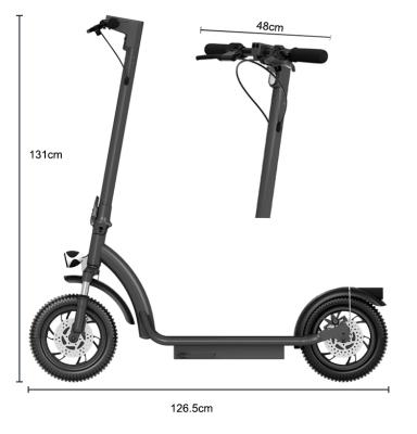 China New Unisex Dual Motor 1000w Mobility 10 Inch Portable Two Wheel 10inch Folding Off Road Electric Scooter for sale