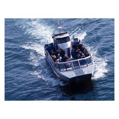 China 30PAX Transport Catamaran Aluminum Passenger Boat For Sale Passenger Ferry For Whale Watch Water Bus For Sightseeing for sale