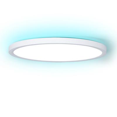 China Modern Smart Home 300mm APP 24W APP YUYA Alexa Controlled LED Ambient Lighting Ceiling Lights for Living Room and Bedroom for sale