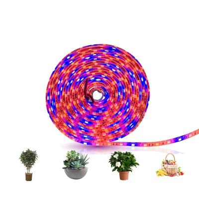 China Seed starting 5M 60leds/m greenhouse hydroponic flexible led strip light for plant growth for sale