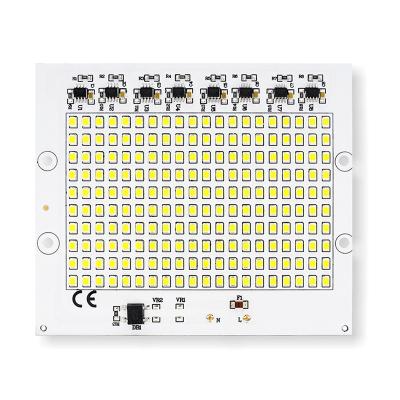 China LED Spot Light SMD2835 Chip Beads LED Lamp 50W 100W Smart IC AC220V For Outdoor Floodlight for sale