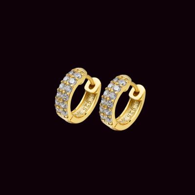 China Fashionable Tasty Men's Hip Hop And 925 Sterling Silver CZ Diamond Inlaid Round Hoop Earrings For Women for sale