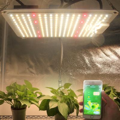 China Seed Starting Hot Amazon Free-Assemble 480W Samsung Lm301b Diode IP65 100 - 277V Led s To Grow Light For Quantum Greenhouse for sale