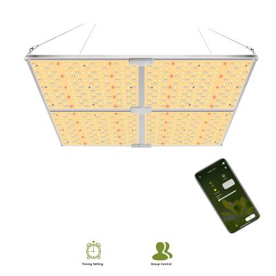 China Seed Starting Stock in USA APP Group Control 600W 450w 220w 110w Daisy Chain Samsung Lm 301b LED Grow Lights For Indoor Plants for sale